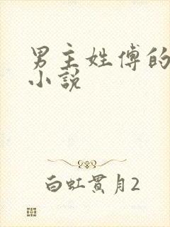 男主姓傅的总裁小说