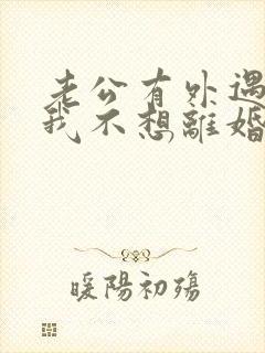 老公有外遇咋办我不想离婚