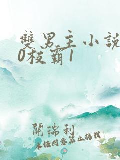 双男主小说学霸0校霸1