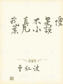 我真不是傻子了叶凡小说