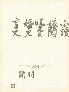 盲婚哑嫁小说全文免费阅读