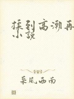 揉到高潮再c她小说