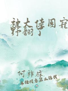 被大佬团宠后我野翻了