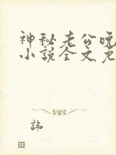 神秘老公晚上见小说全文免费阅读