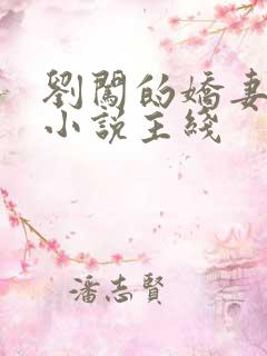 刘闯的娇妻小婉小说主线