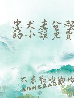 忠犬老公超给力的小说免费阅读