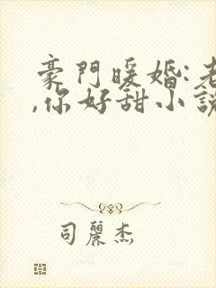 豪门暖婚:老婆,你好甜小说