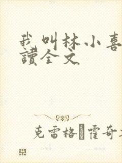 我叫林小喜全阅读全文