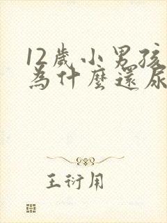 12岁小男孩儿为什么还尿床