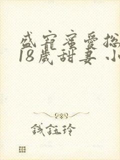 盛宠蜜爱总裁的18岁甜妻 小说