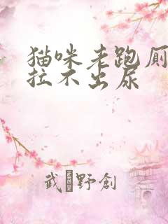 猫咪老跑厕所但拉不出尿