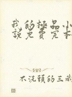 我的极品小姨小说免费完本