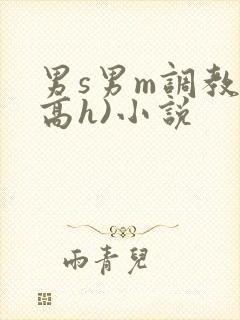 男s男m调教(高h)小说