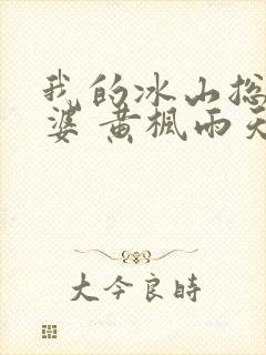 我的冰山总裁老婆 黄枫雨天