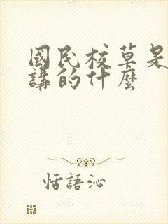 国民校草是女生讲的什么