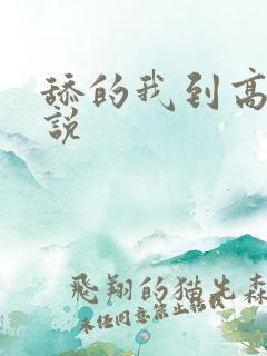 舔的我到高潮小说