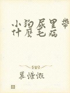 小狗尿里带血是什么毛病