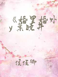 《婚里婚外》by 叶晓井