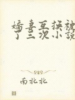 娇妻互换被高潮了三次小说