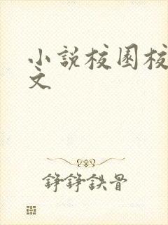 小说校园校霸甜文