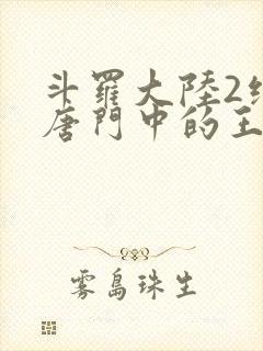 斗罗大陆2绝世唐门中的王冬