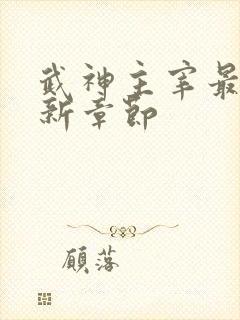 武神主宰最新更新章节