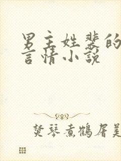 男主姓裴的现代言情小说