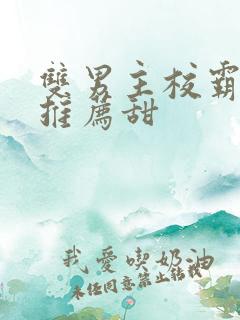 双男主校霸小说推荐甜