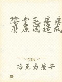 阴囊毛瘙痒是什么原因造成的