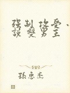 强制 攻受 小说 双男主