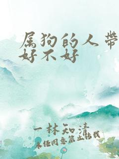 属狗的人带貔貅好不好