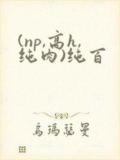 (np,高h,纯肉)纯百