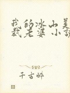 我的冰山美女总裁老婆 小说