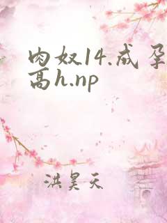 肉奴14.成孕高h.np