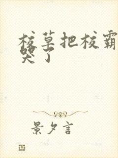 校草把校霸欺负哭了