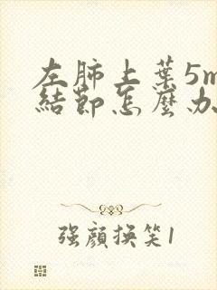 左肺上叶5mm结节怎么办