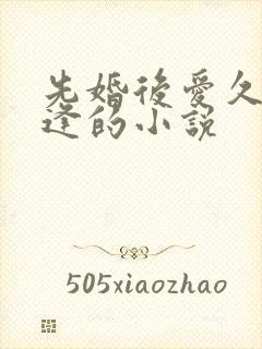 先婚后爱久别重逢的小说