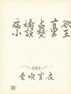 病娇占有欲强的小说双男主