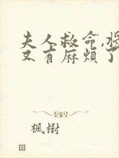 夫人救命,将军又有麻烦了