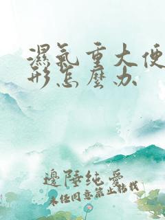 湿气重大便不成形怎么办