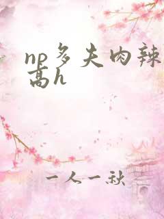 np多夫肉辣文高h