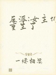 反派:女主们都重生了