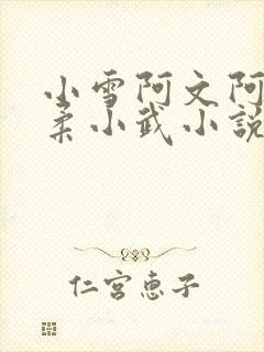 小雪阿文阿民小柔小武小说
