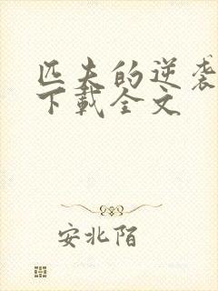 匹夫的逆袭小说下载全文