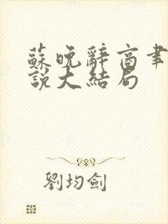 苏晚辞商聿深小说大结局