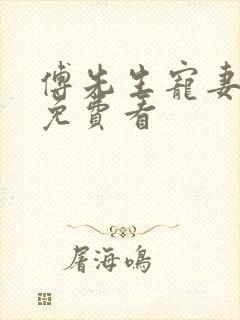 傅先生宠妻无度免费看