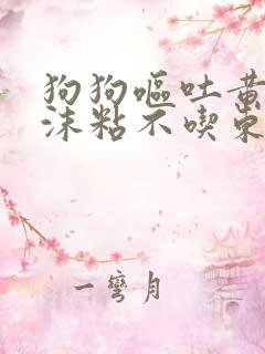 狗狗呕吐黄水泡沫粘不吃东西