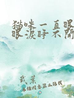 猫咪一直眼睛流眼泪睁不开