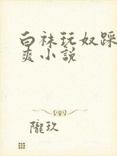 白袜玩奴踩裆好爽小说