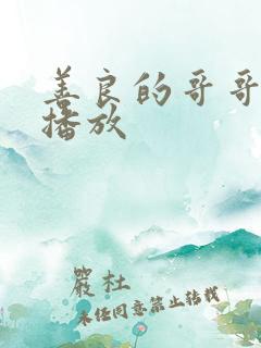 善良的哥哥在线播放